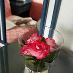 Ξενοδοχείο Abbazia 4*