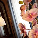 Hotel Abbazia Grado