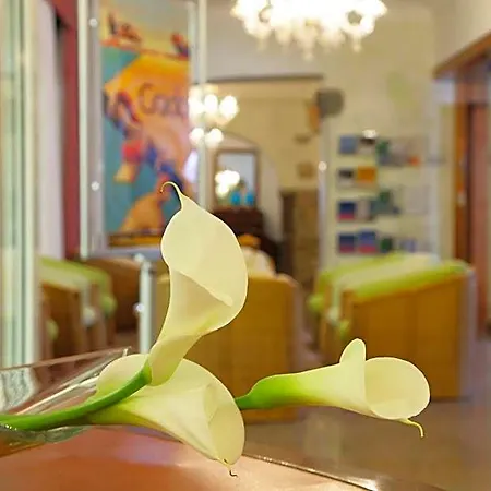 Abbazia 4* 그라도