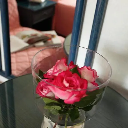 Hotel Abbazia 4*
